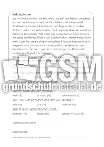 Wildkaninchen.pdf